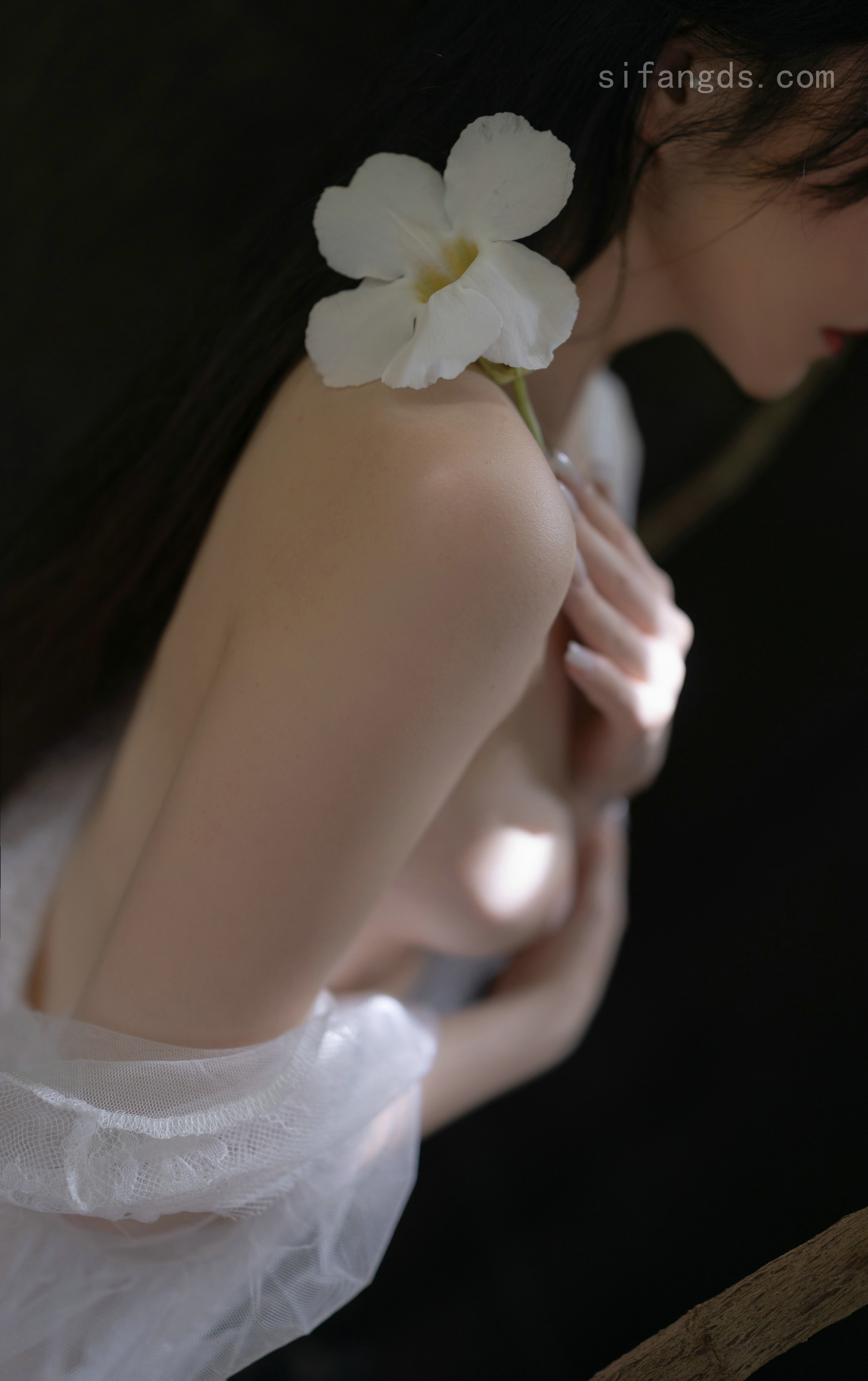 体育小王子
